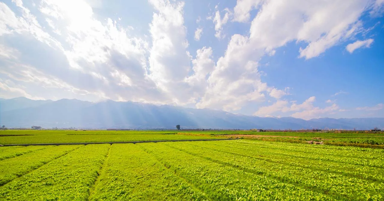 Un terrain agricole, c&rsquo;est quoi ?