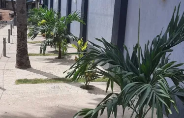 Une Chambre avec Douche WC, Terrasse et sans Cuisine