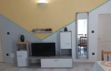 Appartement de 2 Chambres Salon WCD Cuisine Terrasse Jardin et Garage