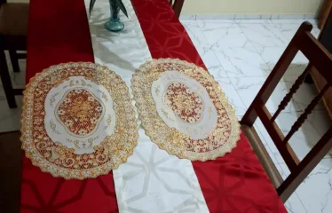 Cours Unique – Appartement 2 Chambres Salon WCD Cuisine Jardin Garage