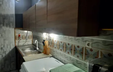 Cours Unique – Appartement 2 Chambres Salon WCD Cuisine Jardin Garage