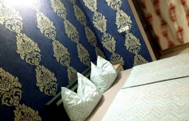 Cours Unique – Appartement 2 Chambres Salon WCD Cuisine Jardin Garage