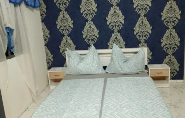 Cours Unique – Appartement 2 Chambres Salon WCD Cuisine Jardin Garage